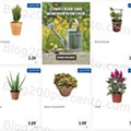 01 Promoções-Descontos-40990.jpg